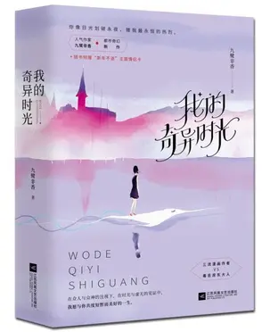novel cover