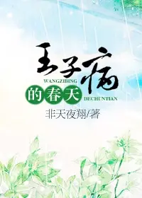 novel cover